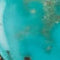 Turquoise Sterling Silver Feather Necklace