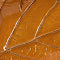 Autumn Leaf Serving Trays, Set Of 5