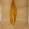 Feather Hurricane Candleholders, Set Of 3