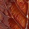 Autumn Leaf Serving Trays, Set Of 5