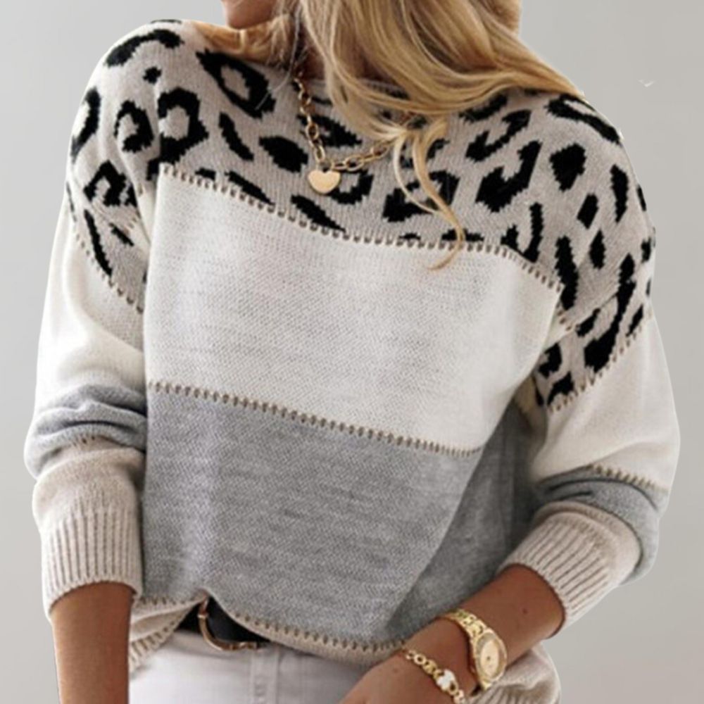 Claire | Leopard Print Sweater with Color Block and Crew Neck